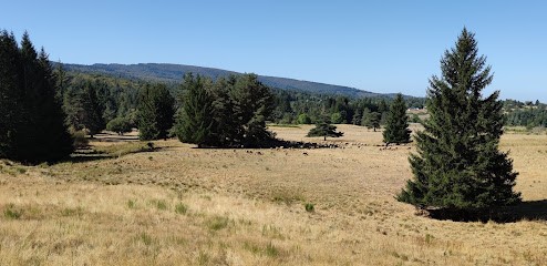 GCU Camprieu, Camping à Saint-Sauveur-Camprieu