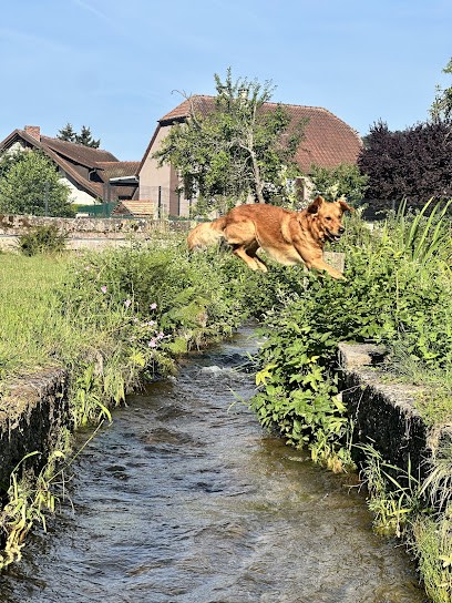 Camping Du Moulin, Camping à Wihr-au-Val