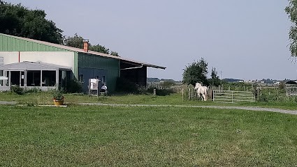 Natural Camping At The Farm Ilot, Camping à Saint-Augustin