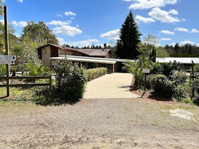 Camping Les Pins Du Soleil, Camping à Saint-Paul-lès-Dax