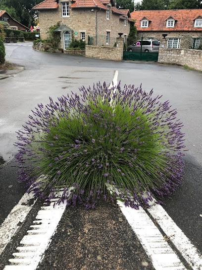 Camping Les Ollivaud, Camping à La Baule-Escoublac