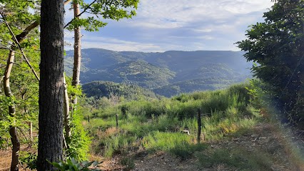 Le Repaire Du Lézard, Camping à Rochepaule