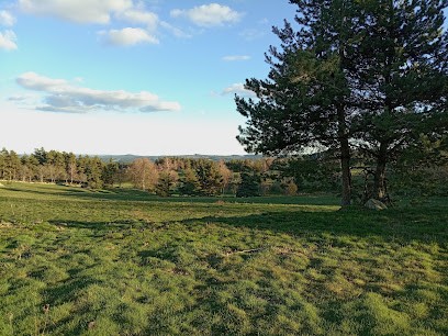 CAMPING SAUVAGE, Camping à Peyre en Aubrac