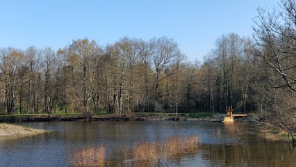 Camping Municipal Du Petit Arcachon, Camping à La Ferté-Imbault