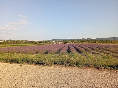 Aire De Camping Car à La Ferme, Camping à Manosque