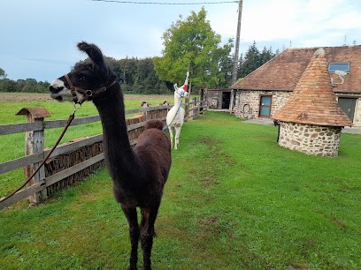Camping sauvage chez l'habitant et Equest Terrain pour camping car, Camping aux Monts d'Aunay