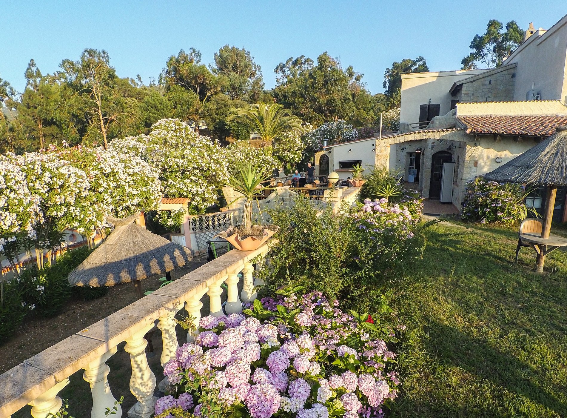 Camping TIKITI, Camping à Propriano