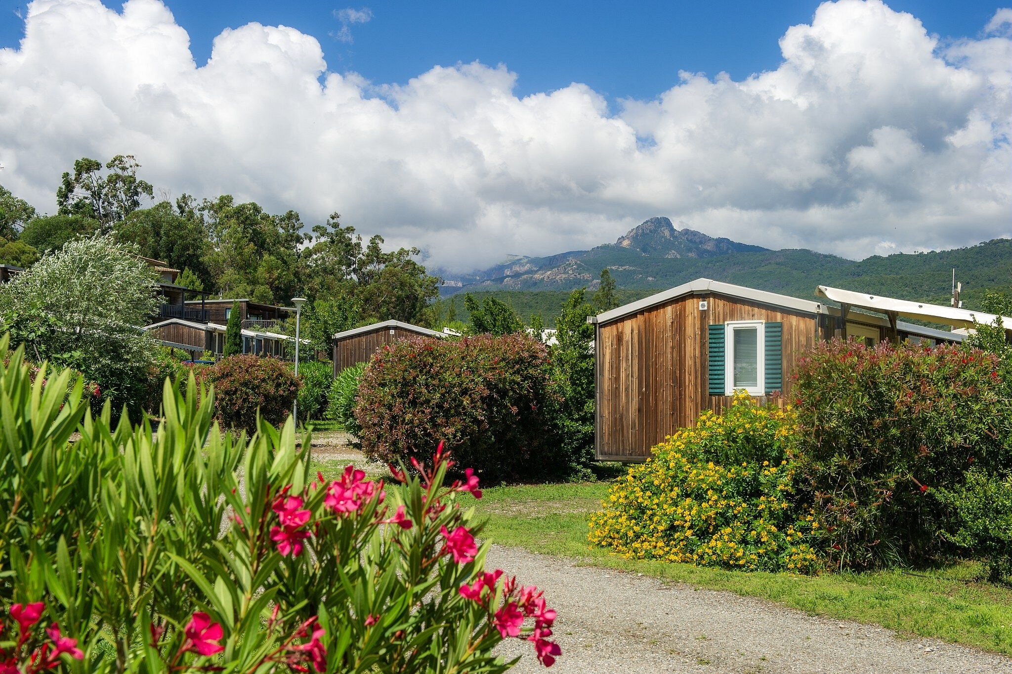 Sole di Sari, Camping à Sari-Solenzara