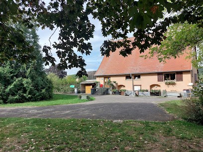 Camping Municipal, Camping à Rouffach