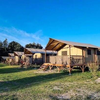 Les Micocouliers, Camping à Graveson