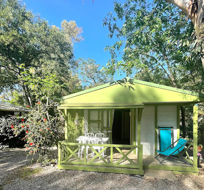 Camping Calvi La Clé Des Champs Location Bungalow Chalet Camping à Calvi