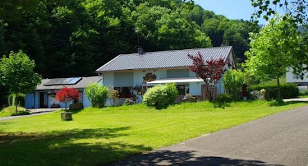 Camping les Verts Bois, Camping à Fréland