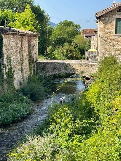 Camping Le Véronne Drome, Camping à Saulce-sur-Rhône