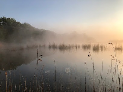 Camping d'Oberwiese, Camping à Guebenhouse