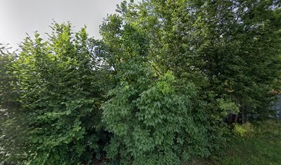 camping les pommiers 71, Camping à Juif