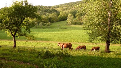 Camping La Ferme De Marseillas, Camping à Saint-Jean-de-Verges