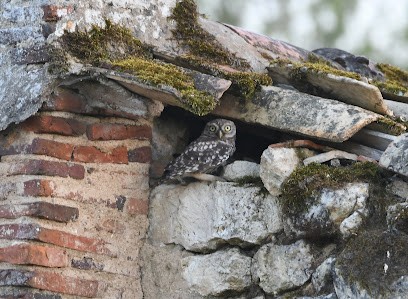 Camping Au Chêne Vert, Camping à Saint-Bonnet-sur-Gironde