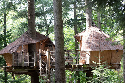 Cabanes De Labrousse, Camping à Belsentes