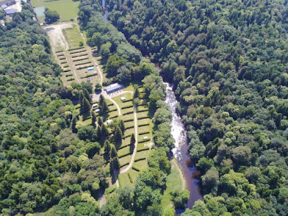 Camping Du Moulin Vert, Camping à Cléden-Poher