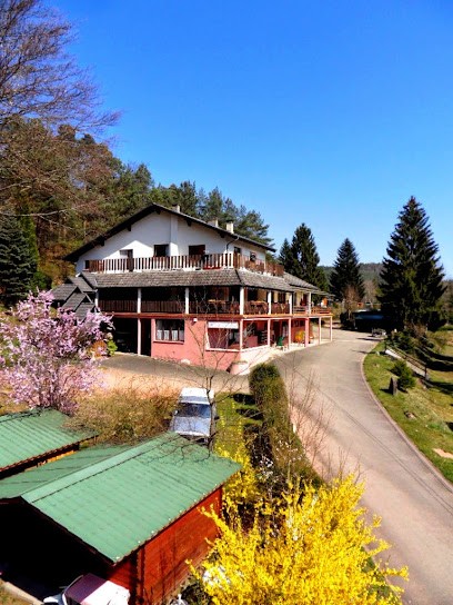 Camping Muhlenbach, Camping à Sturzelbronn