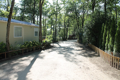 Camp De Loisirs La Baraude, Camping à Darvault