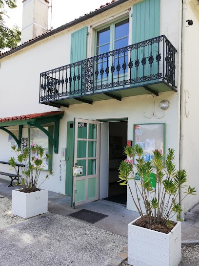 Camping Le Bois Dinot, Camping à Marans