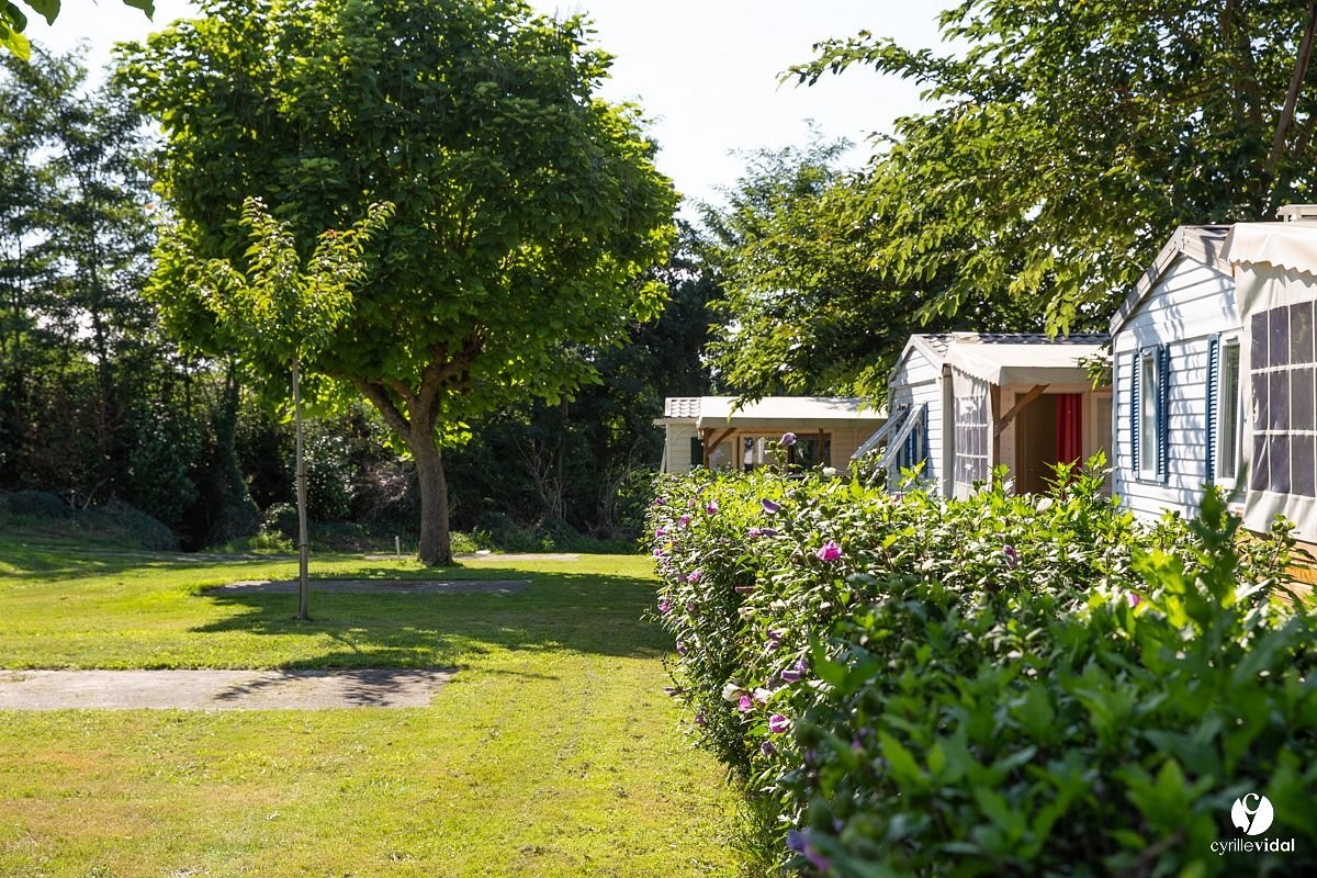 Camping Old Sycamore, Camping à Narrosse