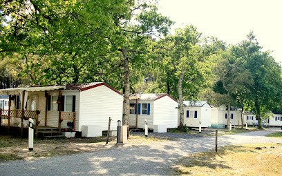 Camping Les Chênes Vieux Boucau, Camping à Vieux-Boucau-les-Bains