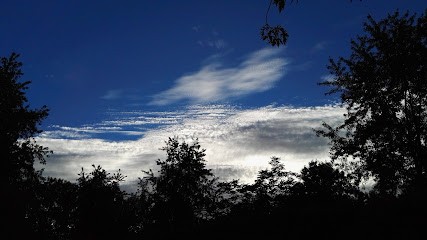 Camping Municipal, Camping à Vitteaux
