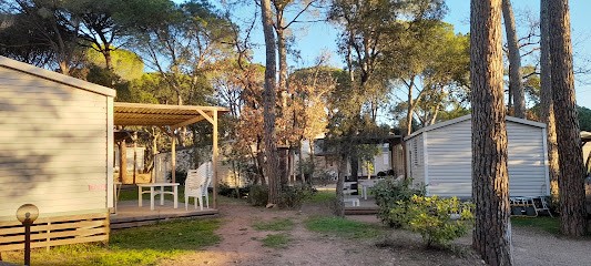 Location Mobil Home Camping Le Muy Camping 4 étoiles Les Cigales, Camping au Muy