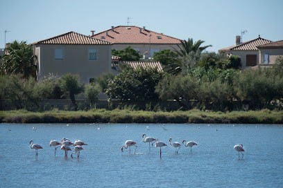 Camping Des Roquilles, Camping à Palavas-les-Flots