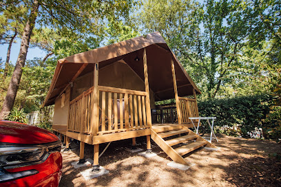 Les Pins De La Coubre Camping aux Mathes