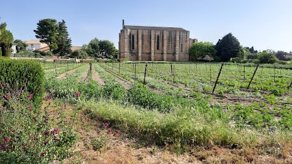 Camping Municipal Loupian, Camping à Loupian