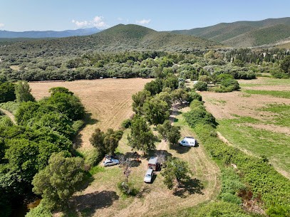 village Camping de l'Ostriconi, Camping à Palasca