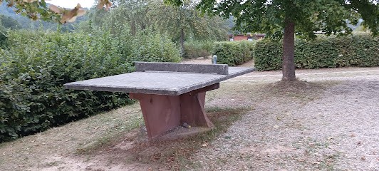 Réception, Camping à Haspelschiedt