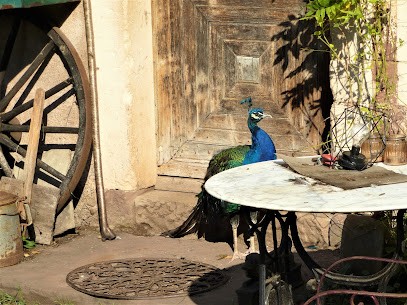 Moulin Begeot, Camping à Mélisey