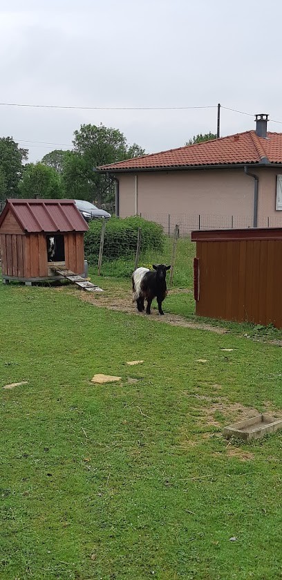 Camping Baptistou, Camping à Franquevielle