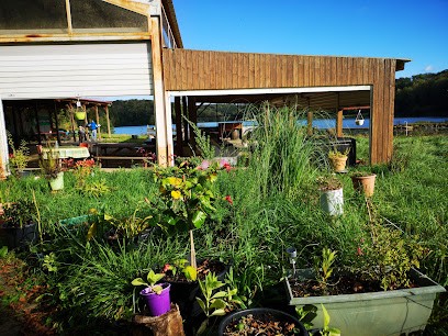 Base De Loisir De L Othain, Camping à Marville