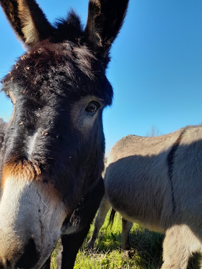 La Ferme Des Sensations Camping à Puygaillard-de-Quercy
