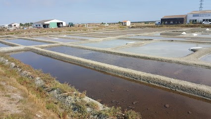 Burgaud Marie, Camping à La Guérinière
