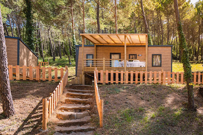 Camping Paradis Le Ruou - Camping Gorges Du Verdon Camping à Villecroze