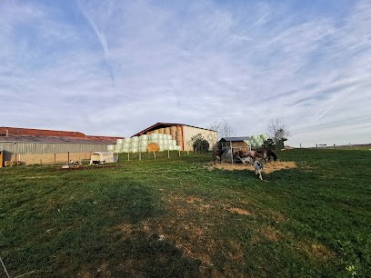 Aire du sugnon, Camping à Lironville