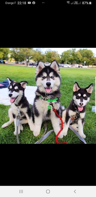 Camping La Roseraie, Camping à Moulle