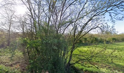 V.B Tourisme, Camping à La Grève-sur-Mignon