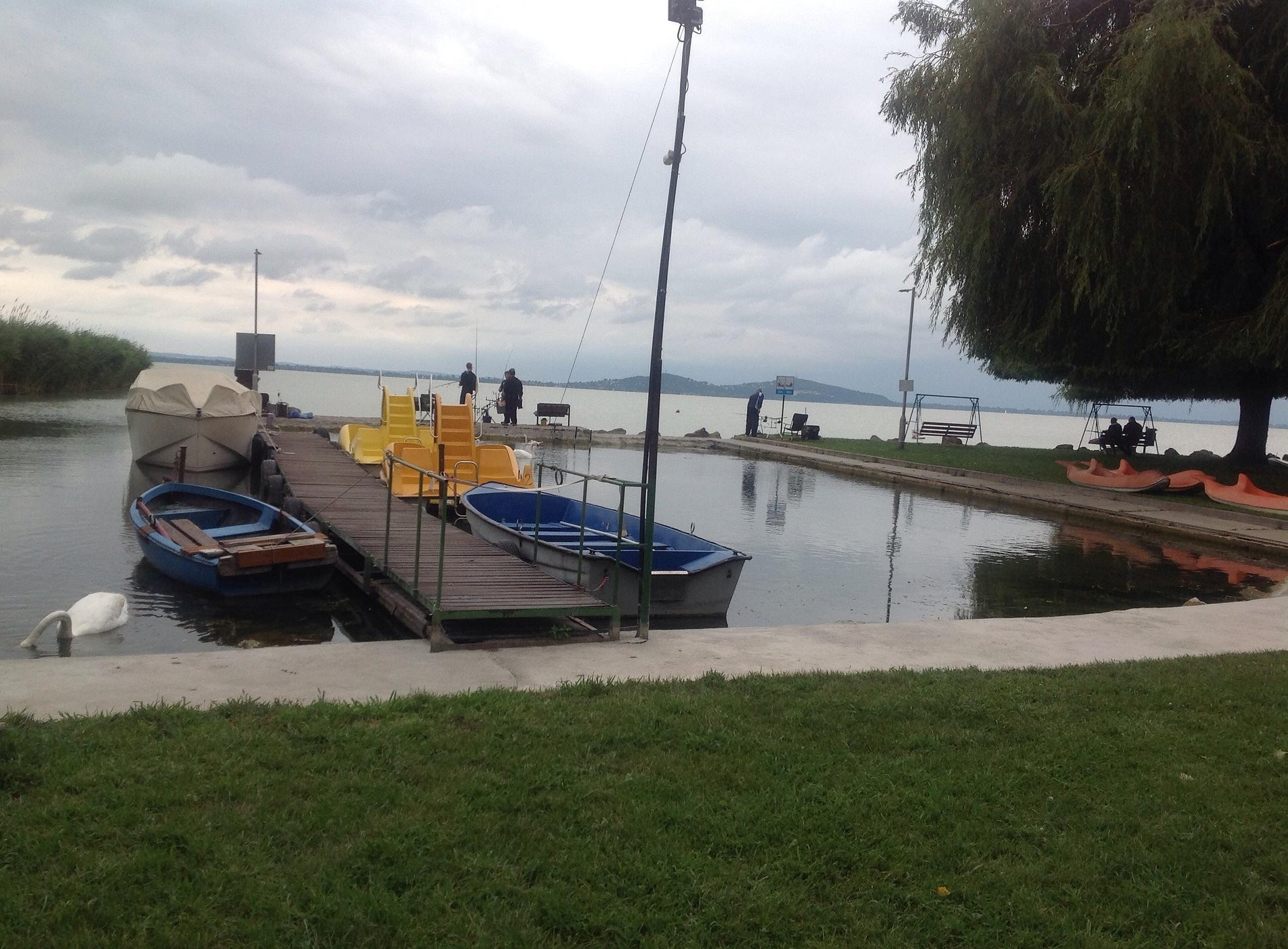 Camping Du Point Vert, Camping à Serrières-de-Briord