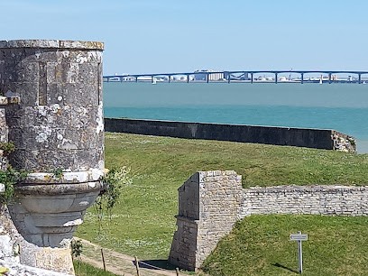 Sainte-Terre Camping Municipal Bord Dordogne, Camping à Sainte-Terre