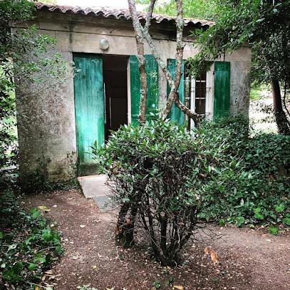 Camping Les Tilleuls, Camping à Mazion