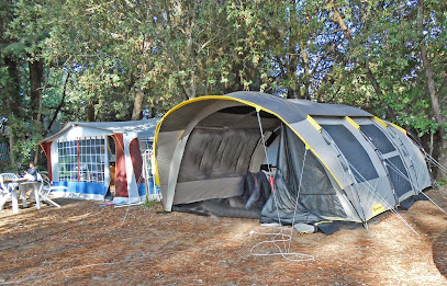 Camping Des Pinèdes De La Caillauderie Camping à Saint-Jean-de-Monts