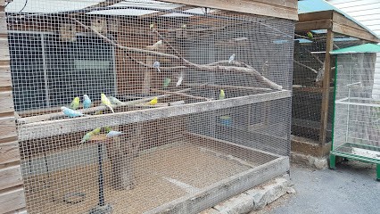 Camping Des Huit Rues, Camping à Morbecque