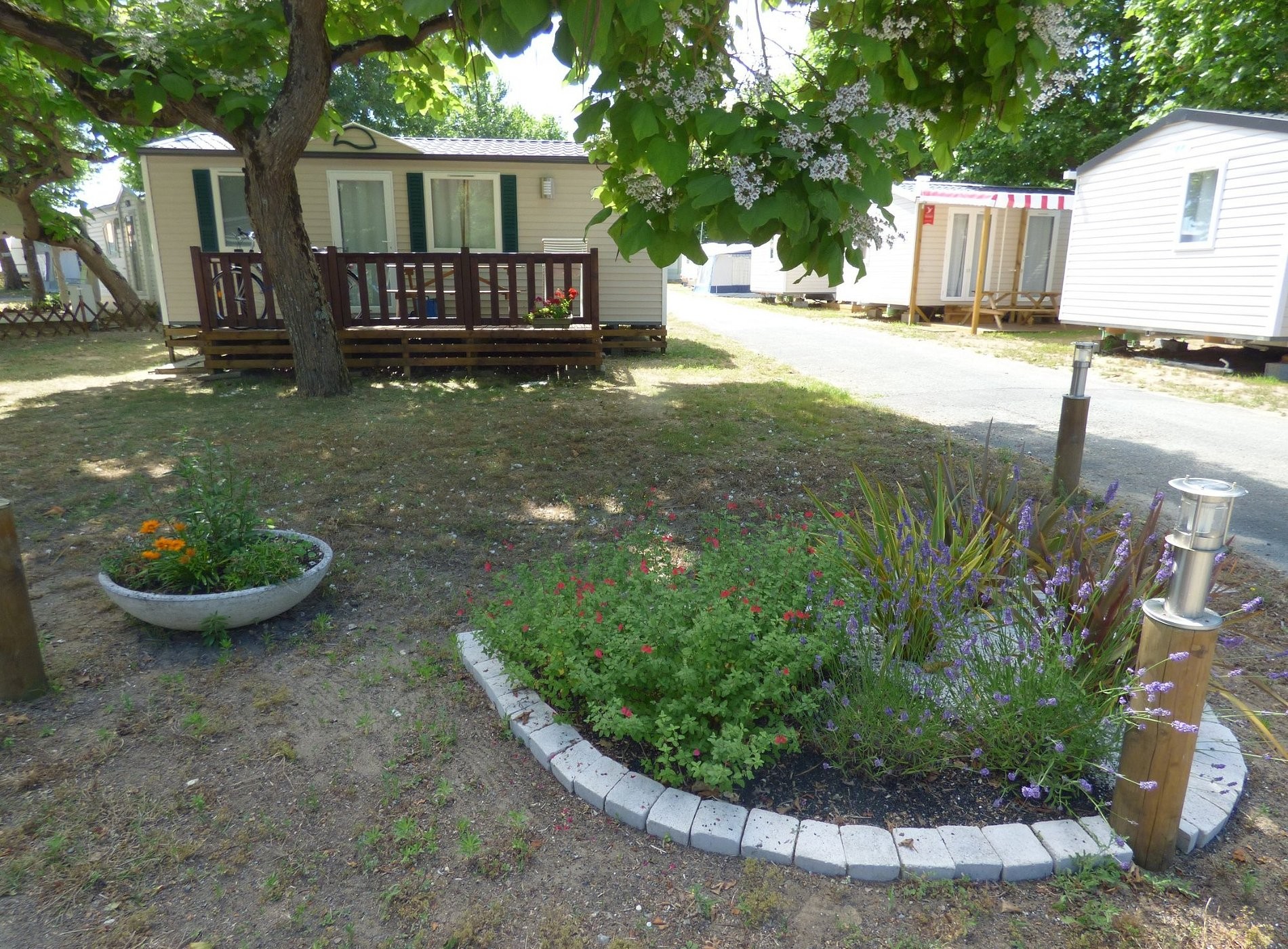 Camping - Ile De Ré - Les Acacias, Camping à Rivedoux-Plage